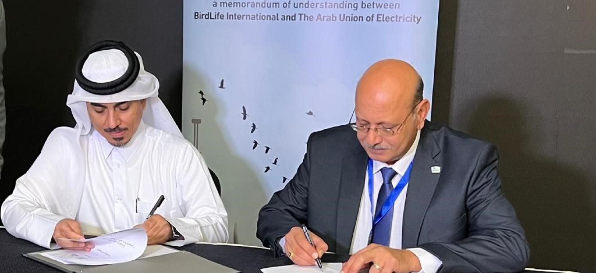 Birdlife international